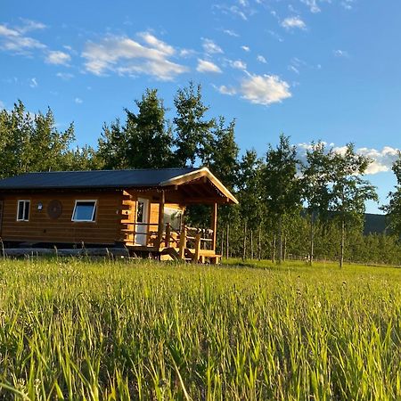 怀特霍斯Oma'S And Opa'S Northern Lights Viewing Cabin别墅 外观 照片