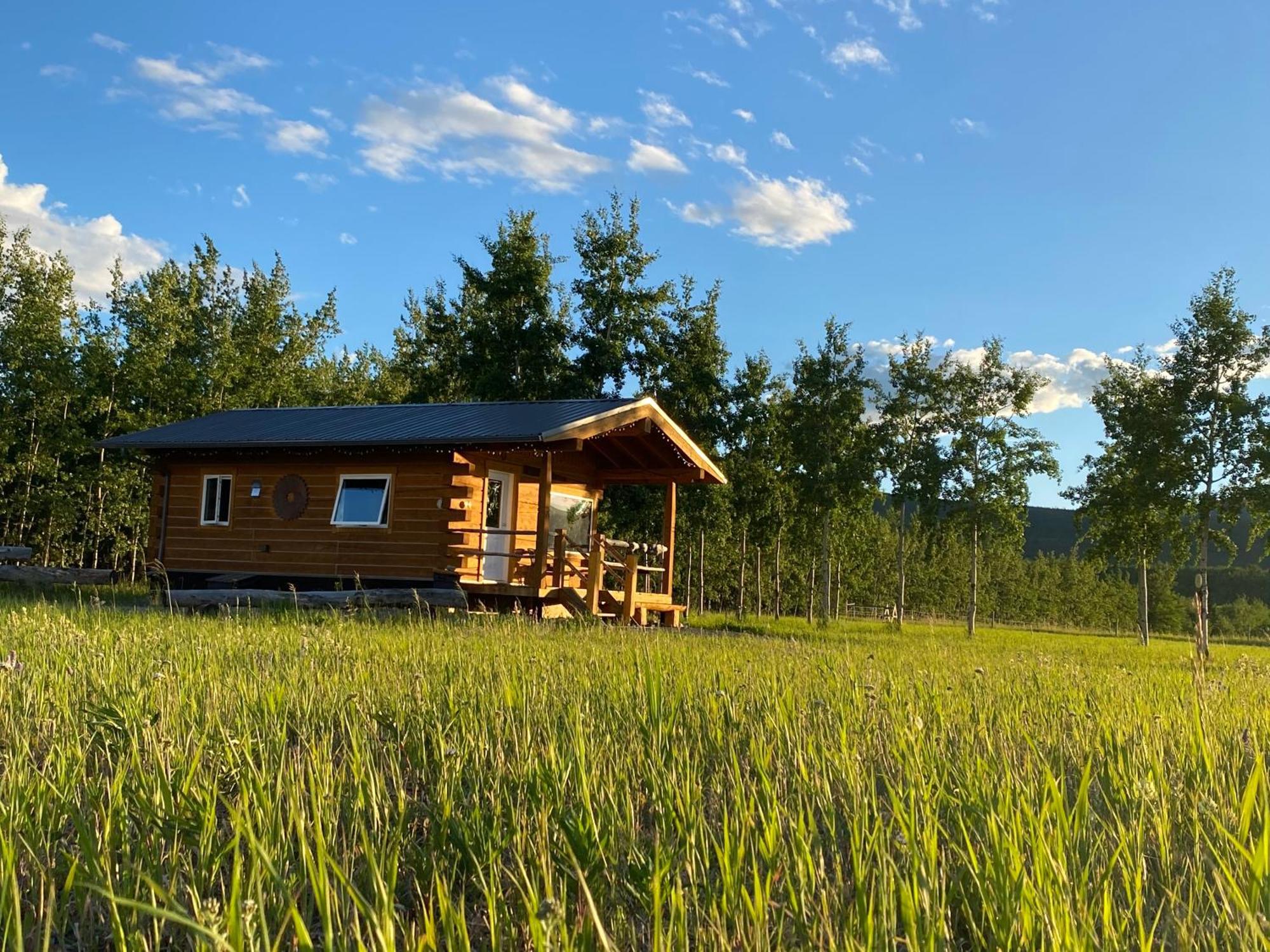 怀特霍斯Oma'S And Opa'S Northern Lights Viewing Cabin别墅 外观 照片